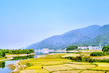 2022年國(guó)家鄉(xiāng)村振興示范縣創(chuàng)建名單公示公告